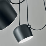 AIM Ceiling Pendants