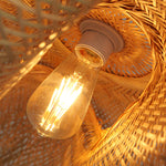 Birds Nest Pendant Light